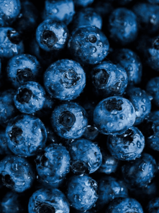 Blueberries: The Superfood for Your Well-Being - 7 Science-Backed Benefits